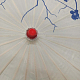 photo-2976767